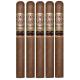 Opus X The Lost City Cigars (48" x 6)