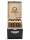 Asylum Insidious Maduro Cigars (5" x 50)