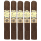 Jaime Garcia Reserva Especial Sucesor Limited Edition 2024 (6" x 56)