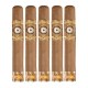 Perdomo Habano Bba Connecticut Cigars (6" x 60)