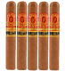 Perdomo 10Th Anniversary Sungrown Cigars (5" x 54)