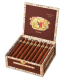 Romeo Y Julieta Reserve Cigars (54" x 7)