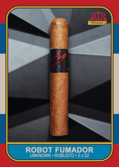 Lca Mr. Robot Fumador V2 Cigars - Toro-6x50