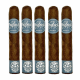 Room 101 The Big Payback Nicaragua (6" x 60)