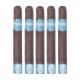 Room 101 The Big Payback Nicaragua (6" x 50)