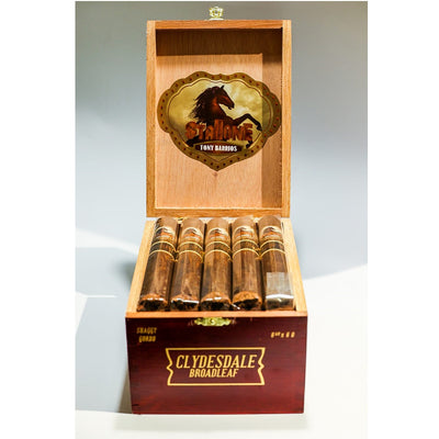 Stallone the Clydesdale Cigars
