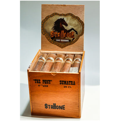 Stallone the Pony Cigars