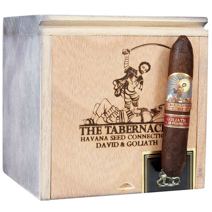 Foundation The Tabernacle Havana Seed CT No 142 Goliath