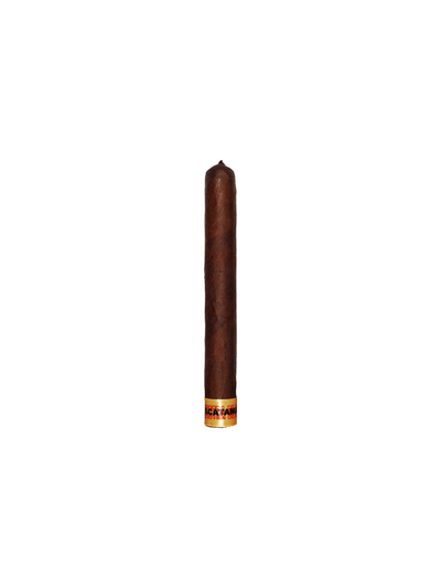 Dunbarton Muestra de Saka Nacatamale (6.0
