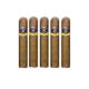 Aladino Corojo Cigars (50" x 5)