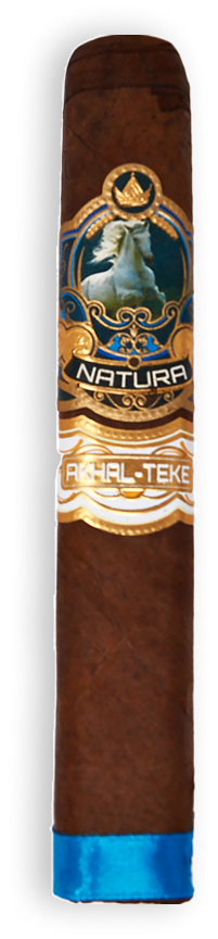 Natura Akhal-Teke LE (6.5