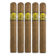 Ambrosia Cigars (6" x 50)