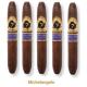El Septimo Sacred Arts Collection Cigars (5.5" x 50)