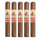 Aj Fernandez Bellas Artes Habano (6.5" x 58)
