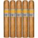 Cle Connecticut Cigars (50" x 5)