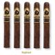 El Septimo Sacred Arts Collection Cigars (6" x 50)