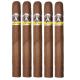 Aladino Corojo Cigars (46" x 6)