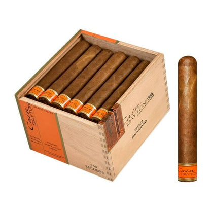 Cain Daytona 550 (5.0" x 50)