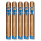 Cao Fasa Sombra (6" x 50)