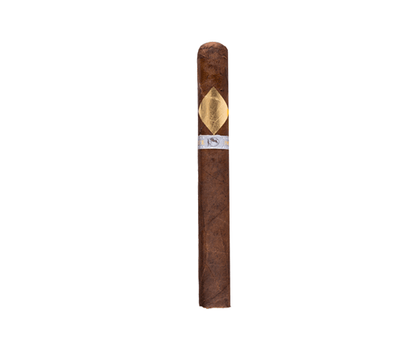 Cavalier Geneve Bii Viso Jalapa Cigars - Toro - 6x54 - cigar13