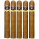 Aladino Corojo Cigars (43" x 6)
