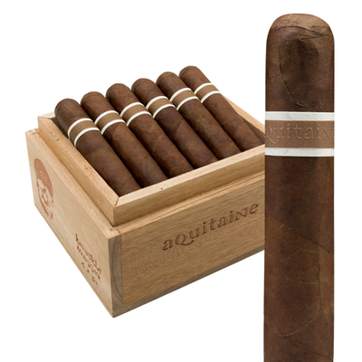 RoMa Craft CroMagnon Aquitaine Cranium (6.0