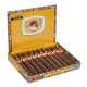 Cuesta Rey Centenario Maduro Cigars (6.25" x 52)