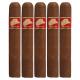 Tatascan Habano Cigars (60" x 6)
