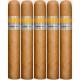 Cle Connecticut Cigars (60" x 6)