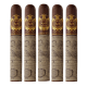 El Rey Del Mundo Appointment (6" x 54)