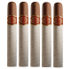 El Rey Del Mundo King Of The World (6" x 50)