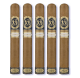 Ferio Tego Elegancia 2023 Cigars (6" x 50)