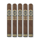 Ferio Tego Generoso 2023 Cigars (6" x 50)