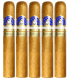 Ferio Tego Metropolitan Connecticut Cigars (6" x 60)