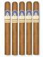 Ferio Tego Metropolitan Connecticut Cigars (7" x 50)