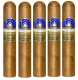 Ferio Tego Metropolitan Connecticut Cigars (4.5" x 50)