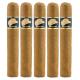 Tatascan Connecticut Cigars (50" x 5)