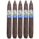 Foundation 10 Year Aniversario Salomon (7" x 58)