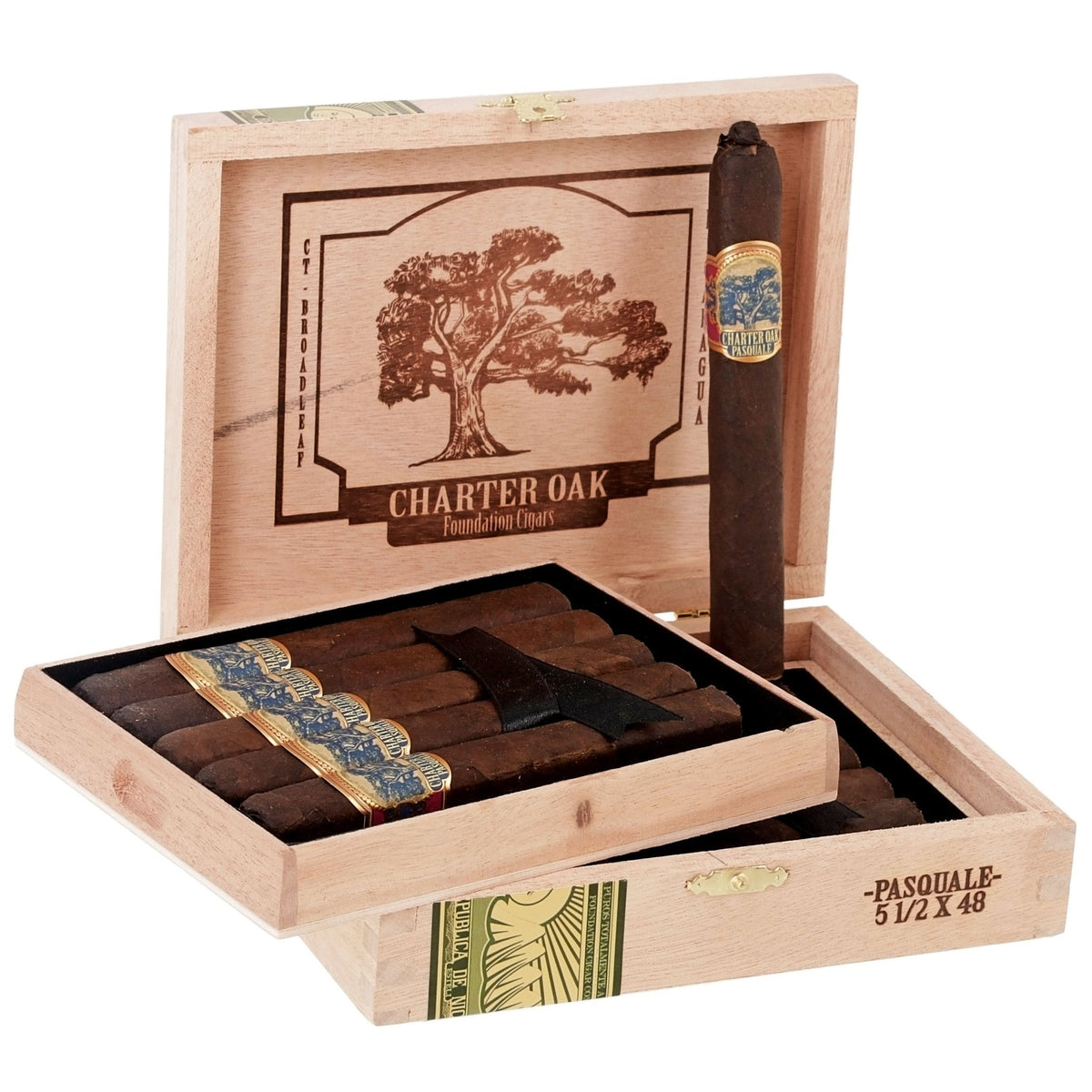 Foundation Charter Oak Pasquale 5 1/2" x 48 - cigar13