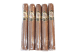 Guillermo Pena Gp Habano Cigars (6" x 52)