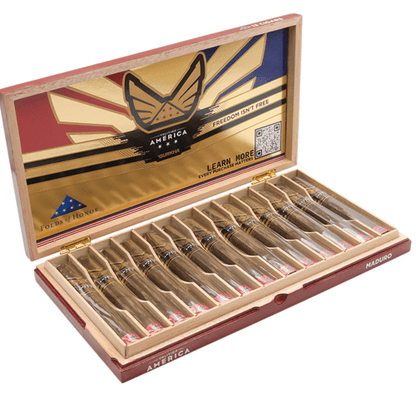 Gurkha Volition America Maduro Toro - Toro - 6 X 54 - cigar13