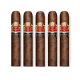 Hoyo De Monterrey Oscuro Cigars (4.5" x 50)