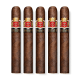Hoyo De Monterrey Oscuro Cigars (6" x 52)