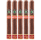 Joya De Nicaragua Clasico Medio Siglo Cigars (6" x 50)