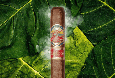 K by Karen Berger Cameroon Cigars - Pyramid - 6x52x58