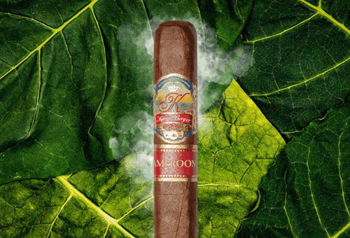 K by Karen Berger Cameroon Cigars - Salomon - Box Pressed - 6x7/8x52 - cigar13