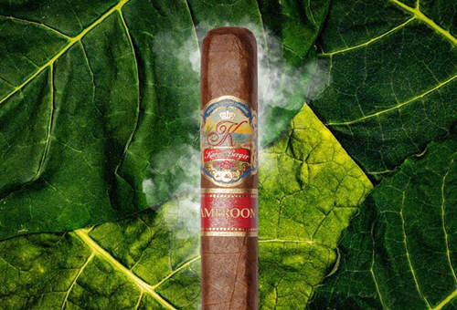 K by Karen Berger Cameroon Cigars - Salomon - Box Pressed - 6x7/8x52