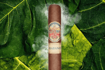 K by Karen Berger Habano Cigars - Toro - Box Pressed - 6x52