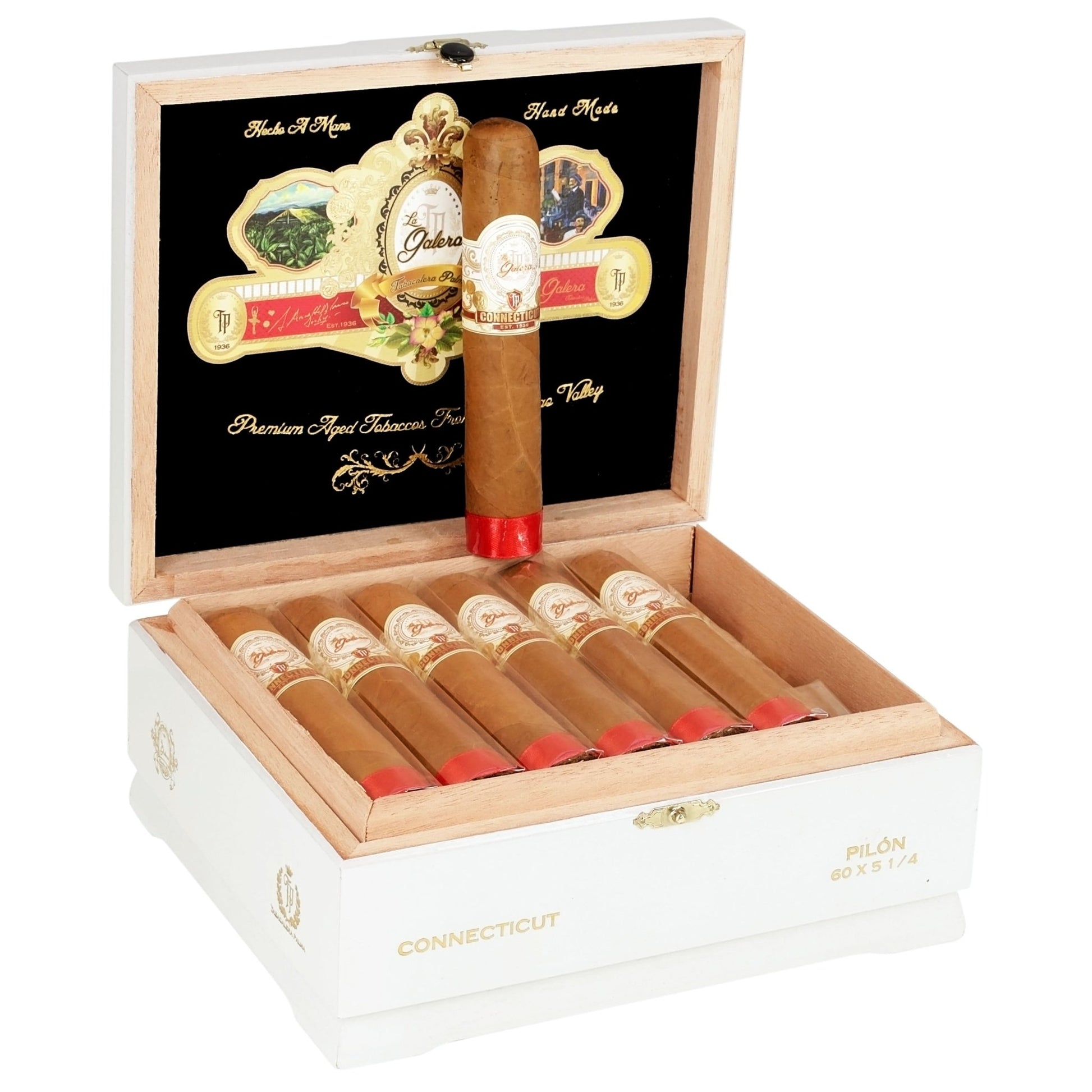 La Galera Connecticut Pilone Short Gordo 5¼×60 - cigar13