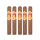 M By Macanudo Honey (5" x 48)
